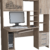 Дуб баррик